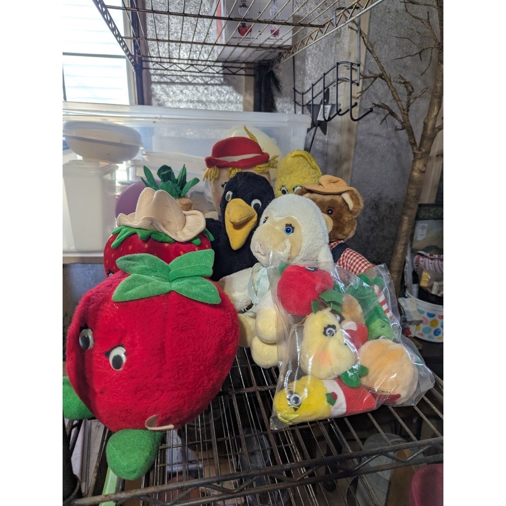 Lot of Vintage 80s/90s Del Monte Stuffed Collectible Plush Country Yumkin